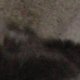 images/th_cats2002110801.jpg