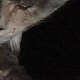 images/th_cats2004020901.jpg