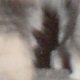 images/th_cats2004062302.jpg