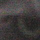 images/th_cats2004062501.jpg