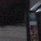images/th_cats2004070102.jpg