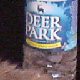 images/th_cats2004110202.jpg